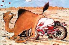 Dans le desert