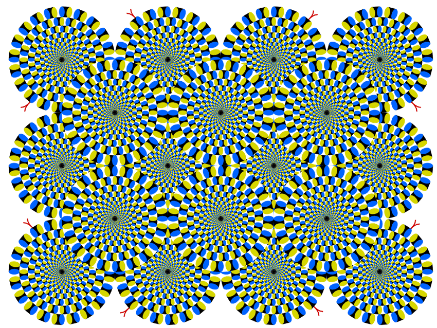 illusions
